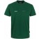 color:tanne
